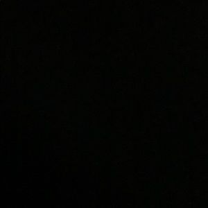 Meet your Posher, Daniela